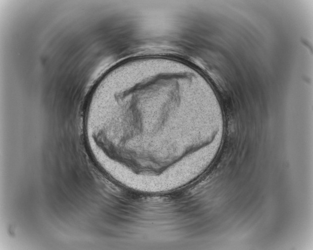 X0000097961459200804211050