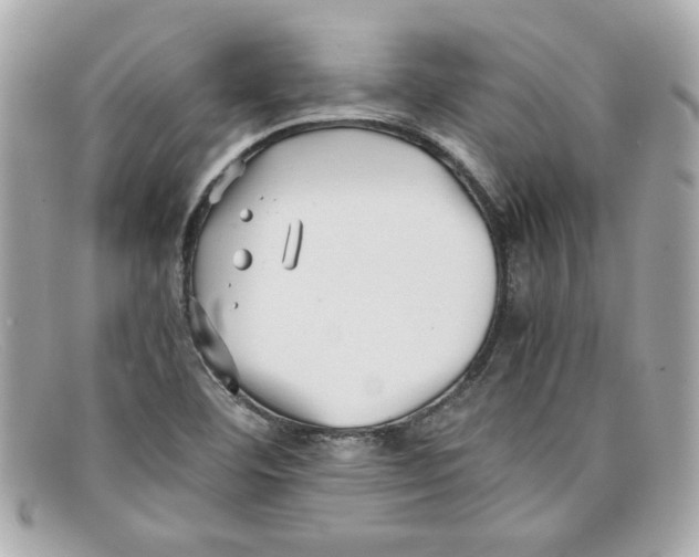 X0000097961460200804211049