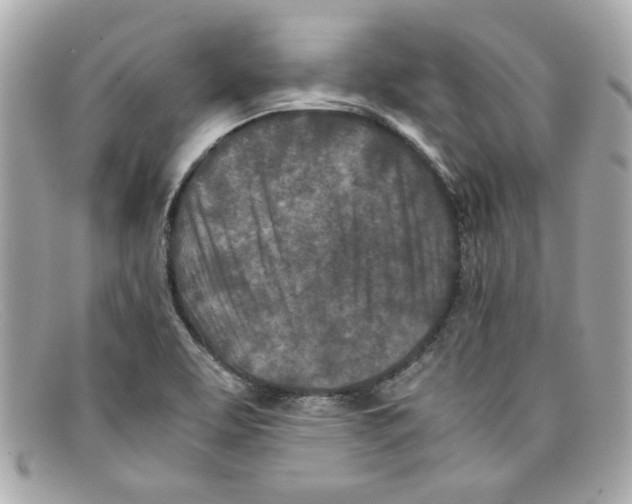 X0000097961463200804211049