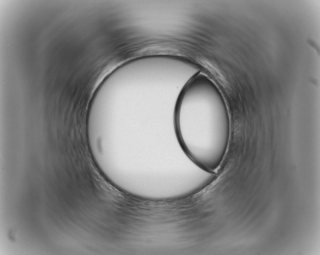 X0000097961465200804211049