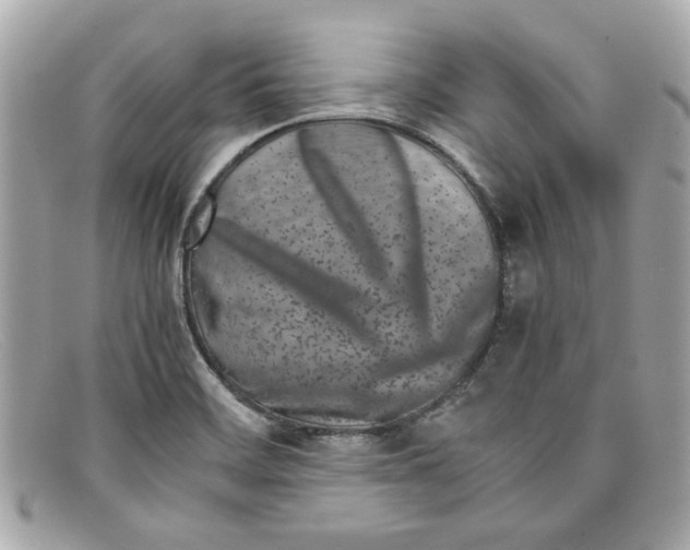 X0000097961468200804211049