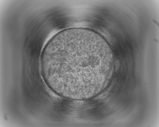 X0000097961470200804211049