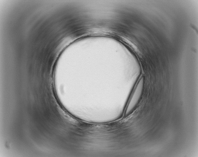 X0000097961471200804211049