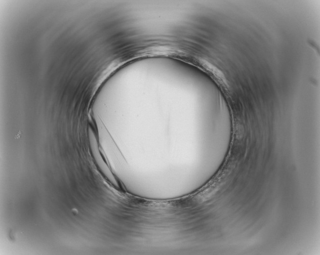 X0000097961473200804211049