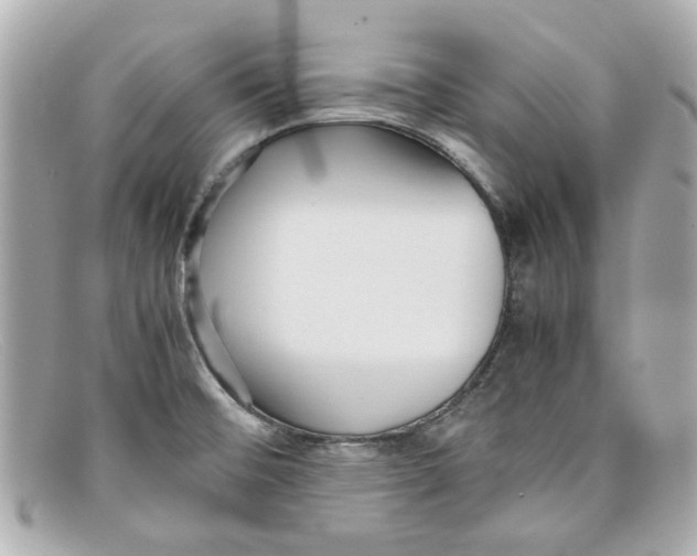 X0000097961476200804211049