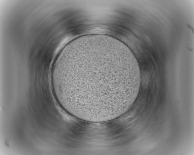 X0000097961478200804211049
