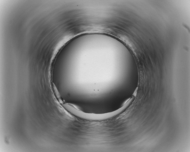X0000097961480200804211049
