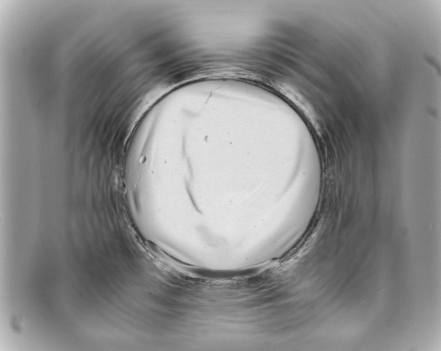 X0000097961481200804211049