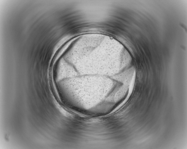 X0000097961482200804211049