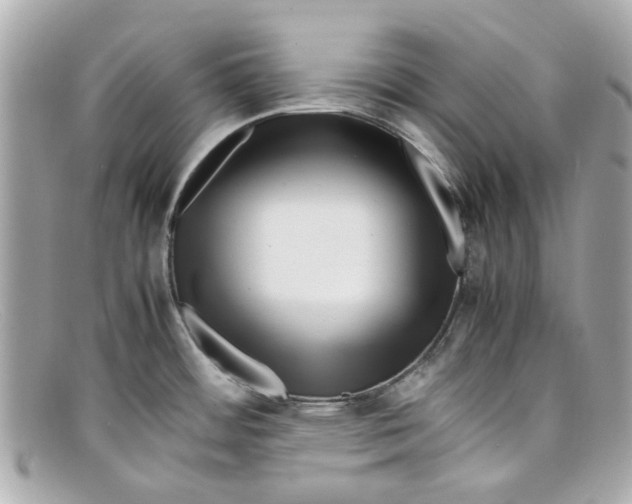 X0000097961484200804211049