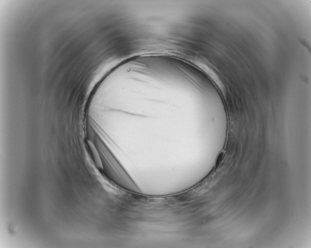 X0000097961485200804211049