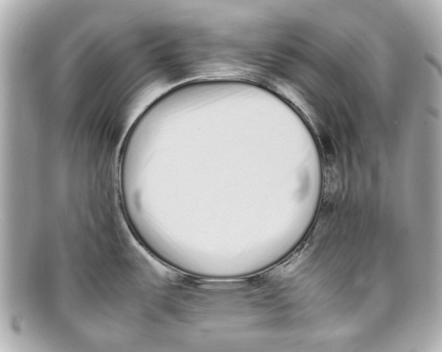 X0000097961487200804211049