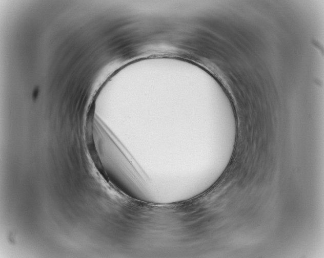 X0000097961488200804211049