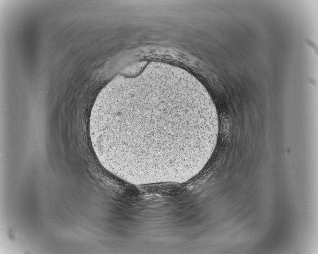 X0000097961489200804211048