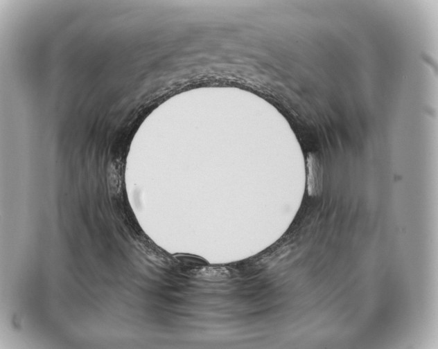 X0000097961491200804211048