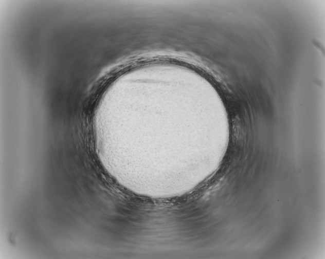 X0000097961494200804211048