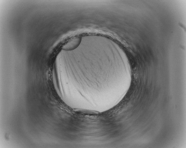 X0000097961495200804211048