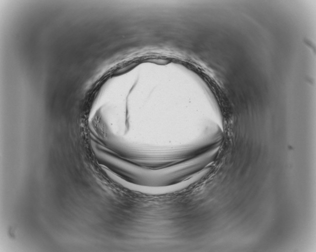 X0000097961496200804211048
