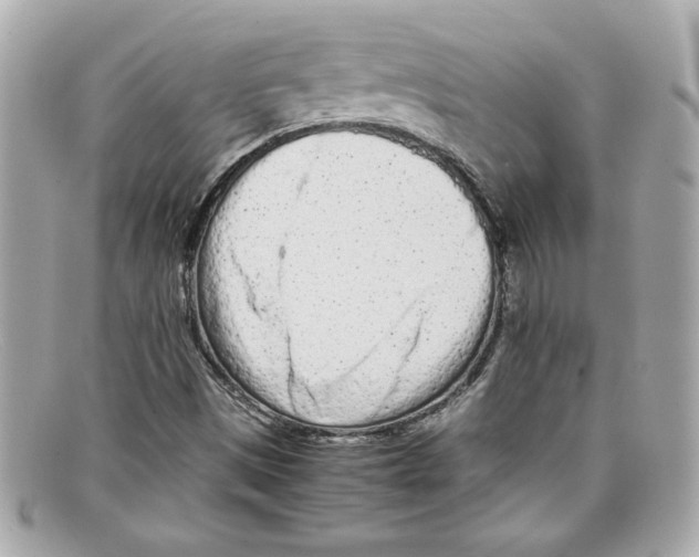 X0000097961497200804211048