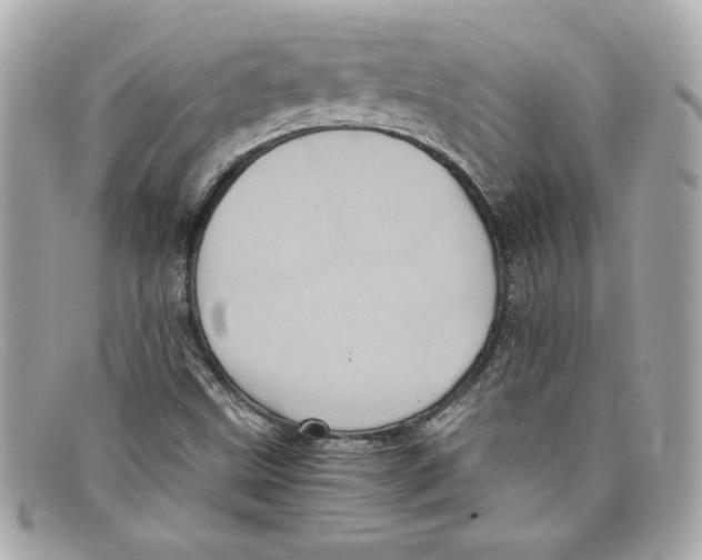 X0000097961499200804211048