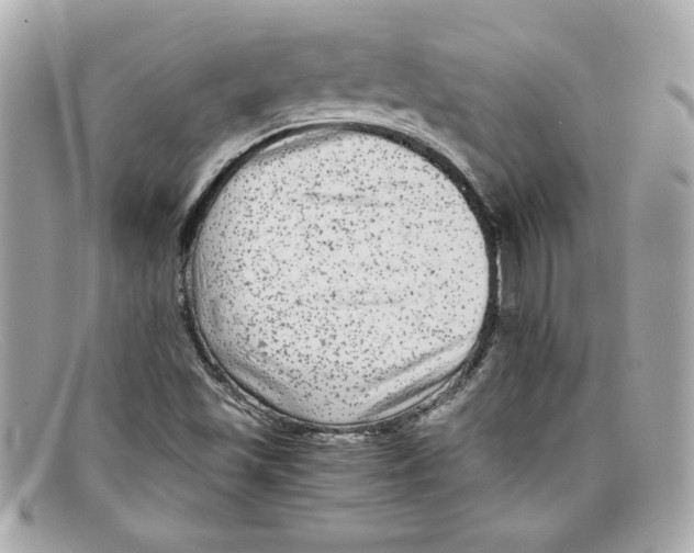 X0000097961501200804211048