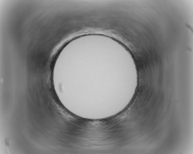 X0000097961502200804211048