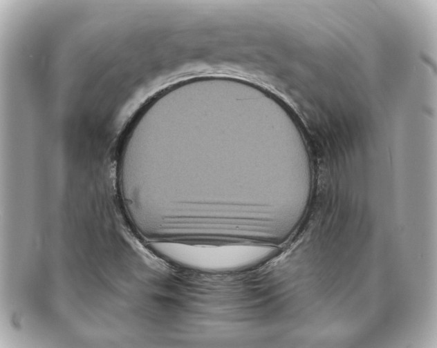 X0000097961503200804211048