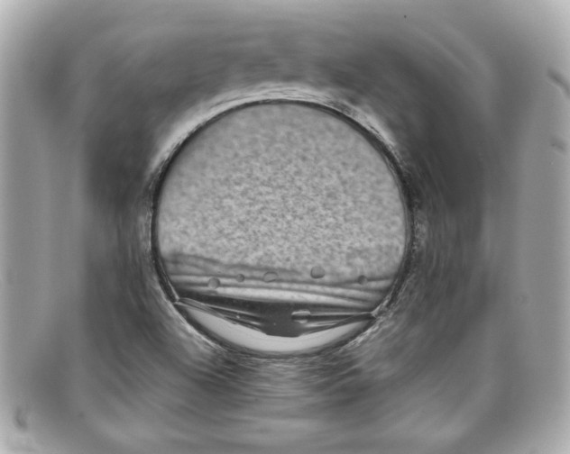 X0000097961504200804211048