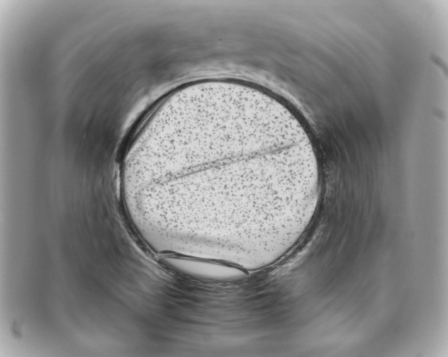 X0000097961509200804211049