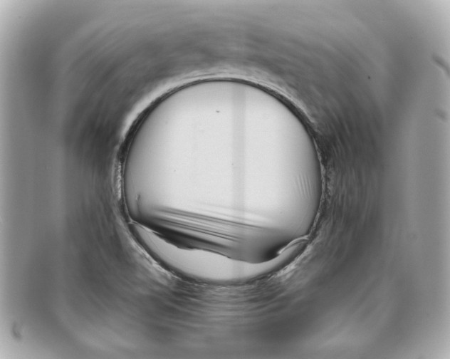 X0000097961510200804211049