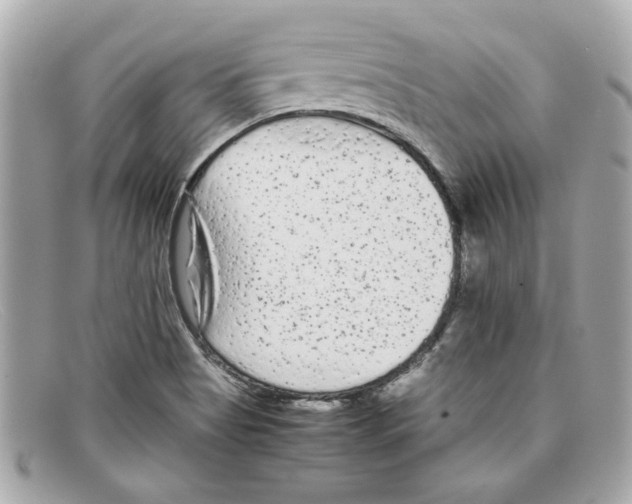X0000097961513200804211049