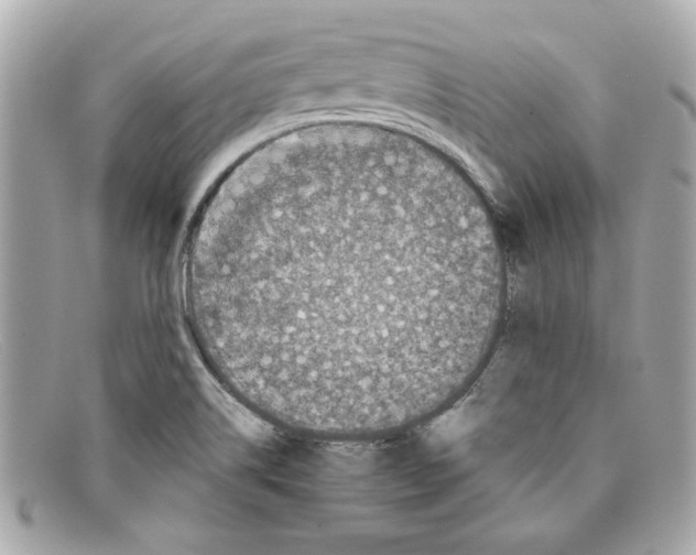 X0000097961514200804211049