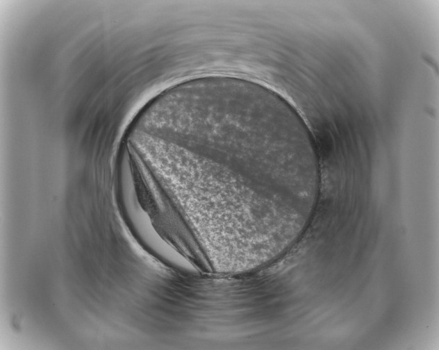 X0000097961515200804211049