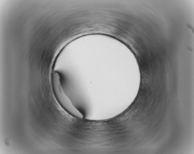 X0000097961516200804211049