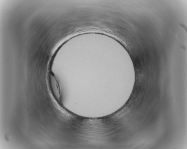 X0000097961518200804211049