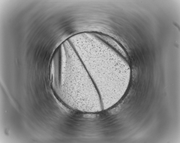 X0000097961521200804211049