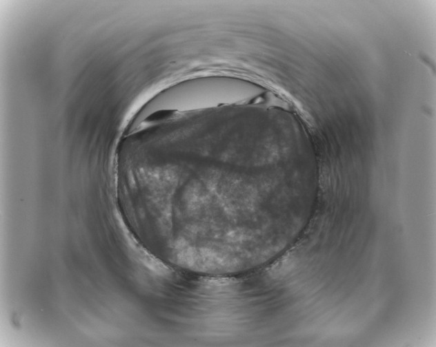 X0000097961522200804211049