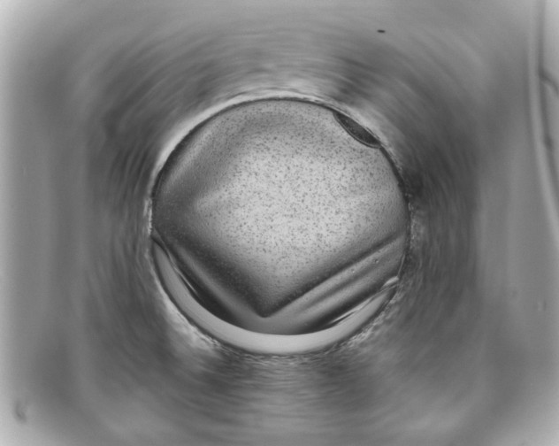 X0000097961524200804211049