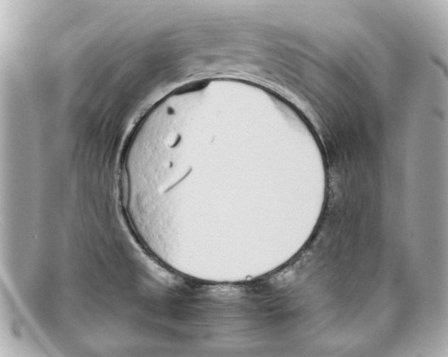 X0000097961525200804211049