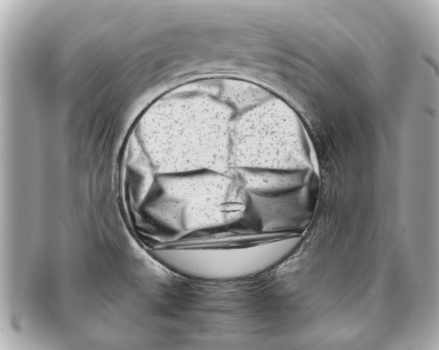 X0000097961527200804211049
