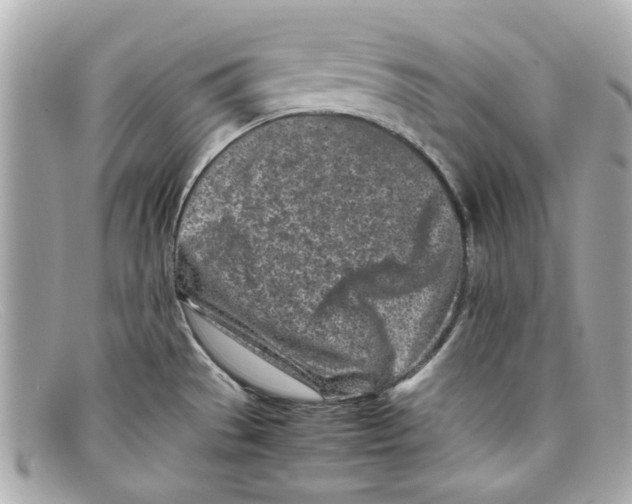 X0000097961529200804211049