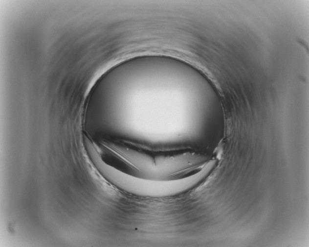 X0000097961530200804211049