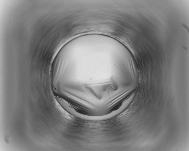 X0000097961532200804211049