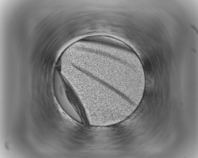 X0000097961534200804211049