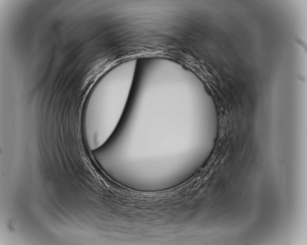 X0000097970002200803241029