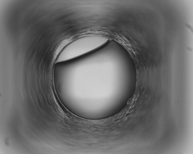 X0000097970003200803241029
