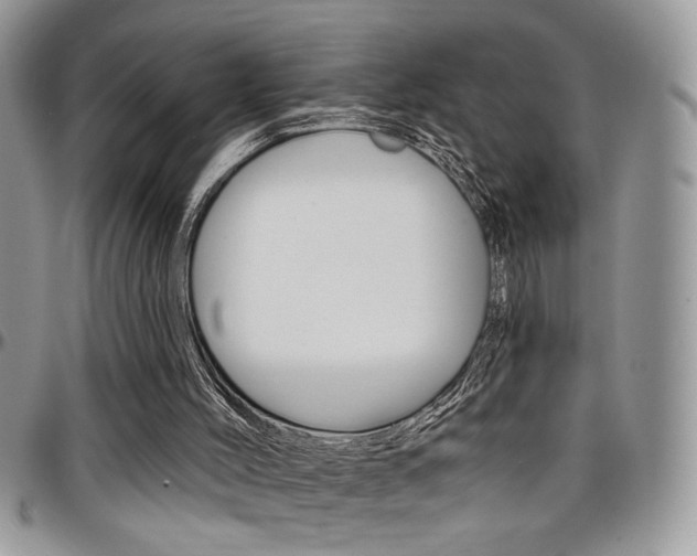 X0000097970004200803241029