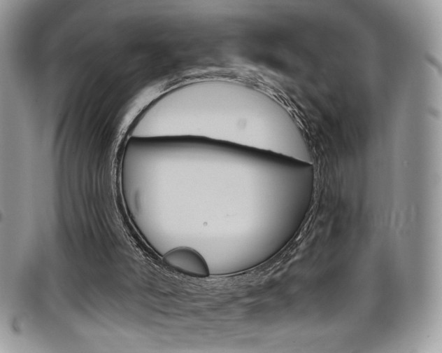 X0000097970006200803241029