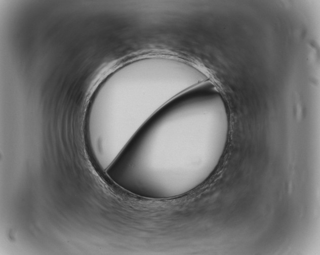 X0000097970007200803241029