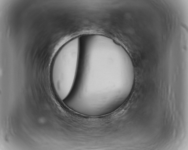 X0000097970008200803241029